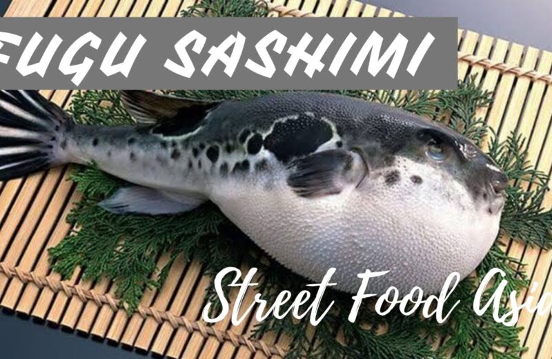Fugu Fish, Si Ikan Beracun Yang populer di Jepang